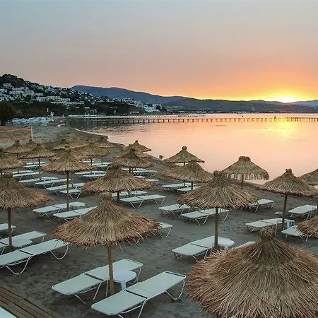 Club Sardinia 4* 博德鲁姆