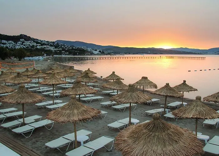 Club Sardinia ホテル